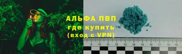 PSILOCYBIN Вяземский
