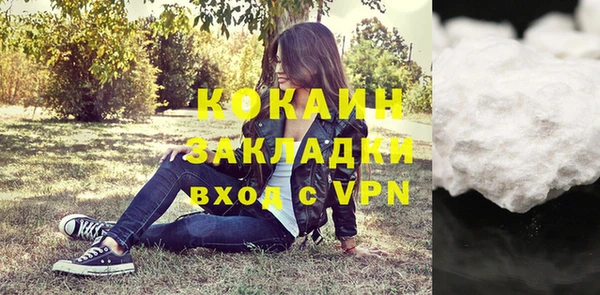 PSILOCYBIN Вяземский