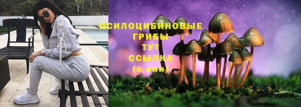 mdpv Вязники