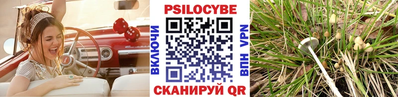 Псилоцибиновые грибы Psilocybe  купить наркоту  Малоярославец 