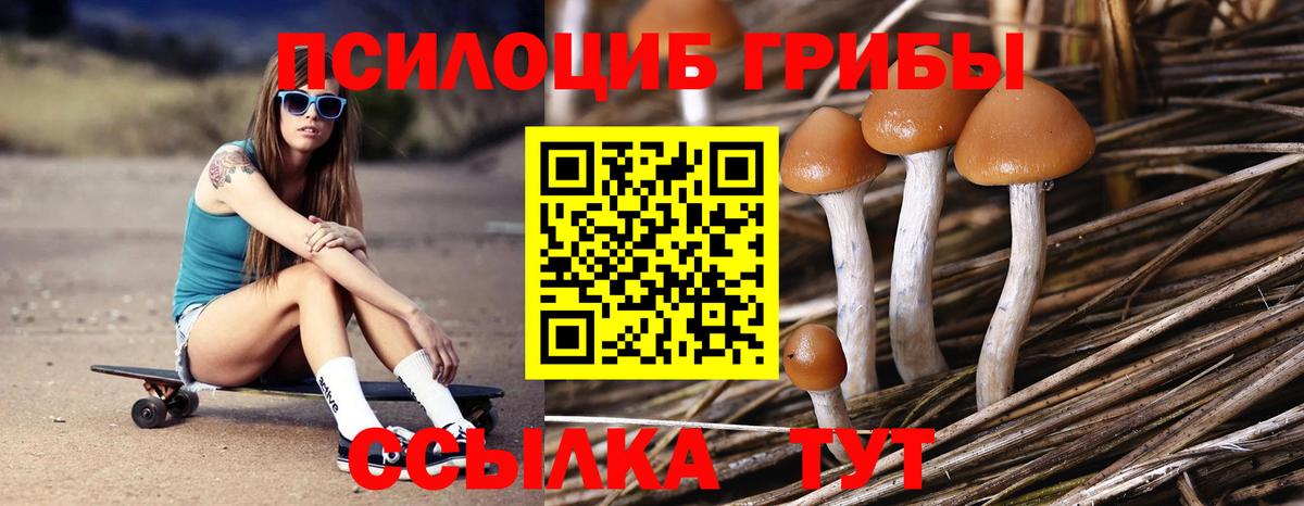 Малоярославец  купить   Вход с VPN  Псилоцибиновые грибы GOLDEN TEACHER 
